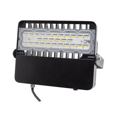 고효율 야외 LED 플라드 라이트 100W 48V DC